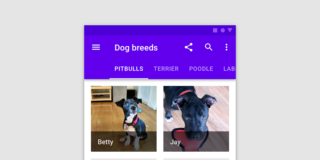 Material Compose Composables